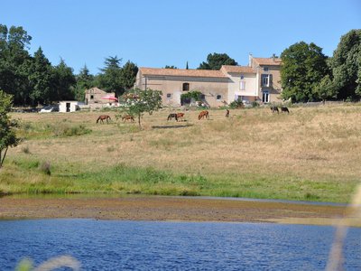 LA FERME DE FRANC EXT 2