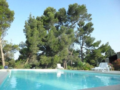 11G1481 - Domaine de Dougados 1481_1