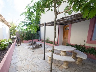 Syrah_Terrasse_rogne