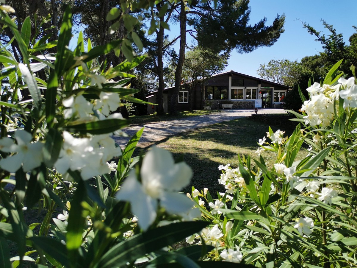 ctoutvert - accueil vue des lauriers