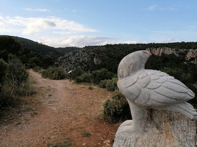 CAUNES CARRIERE DU ROY (2)