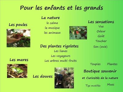 JUNGLE BOTANIQUE recto