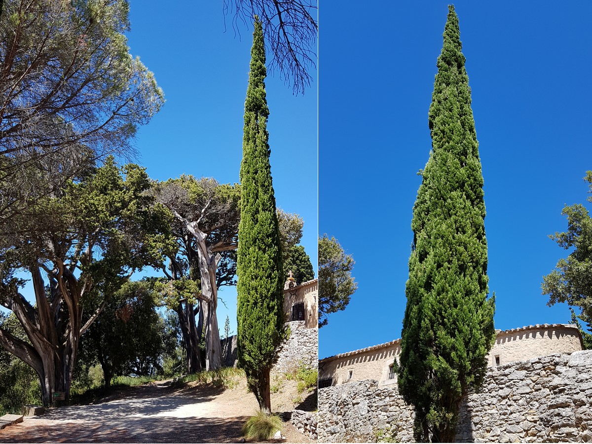 chapelle st roch montolieu 2020