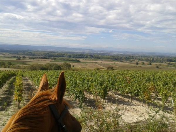 CENTRE EQUESTRE ECURIES DE FESTES