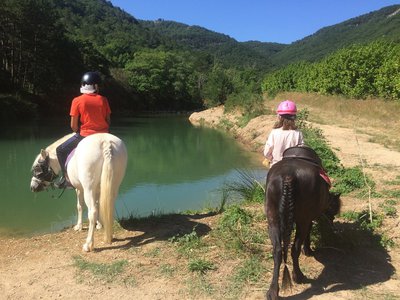 Poneys d'Adèle