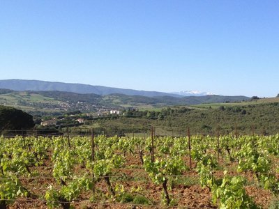 PLATEAU DU CASCAL PAYSAGE