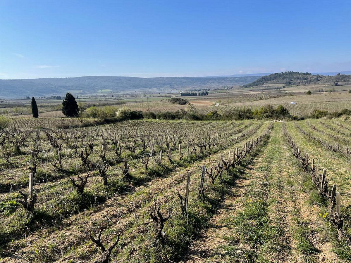 CLOS TOUCHANT GRENACHE