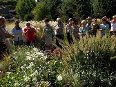 JARDIN-CHAMPETRE GROUPE