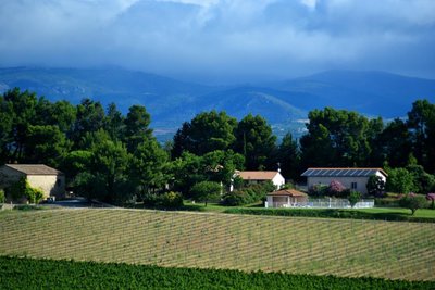 11G2951 - Le Marronnier_4