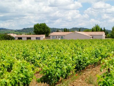 côté chambres vu des vignes