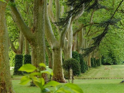 Domaine de Montlaur 5 Parc chateau © Marianne Niermans.