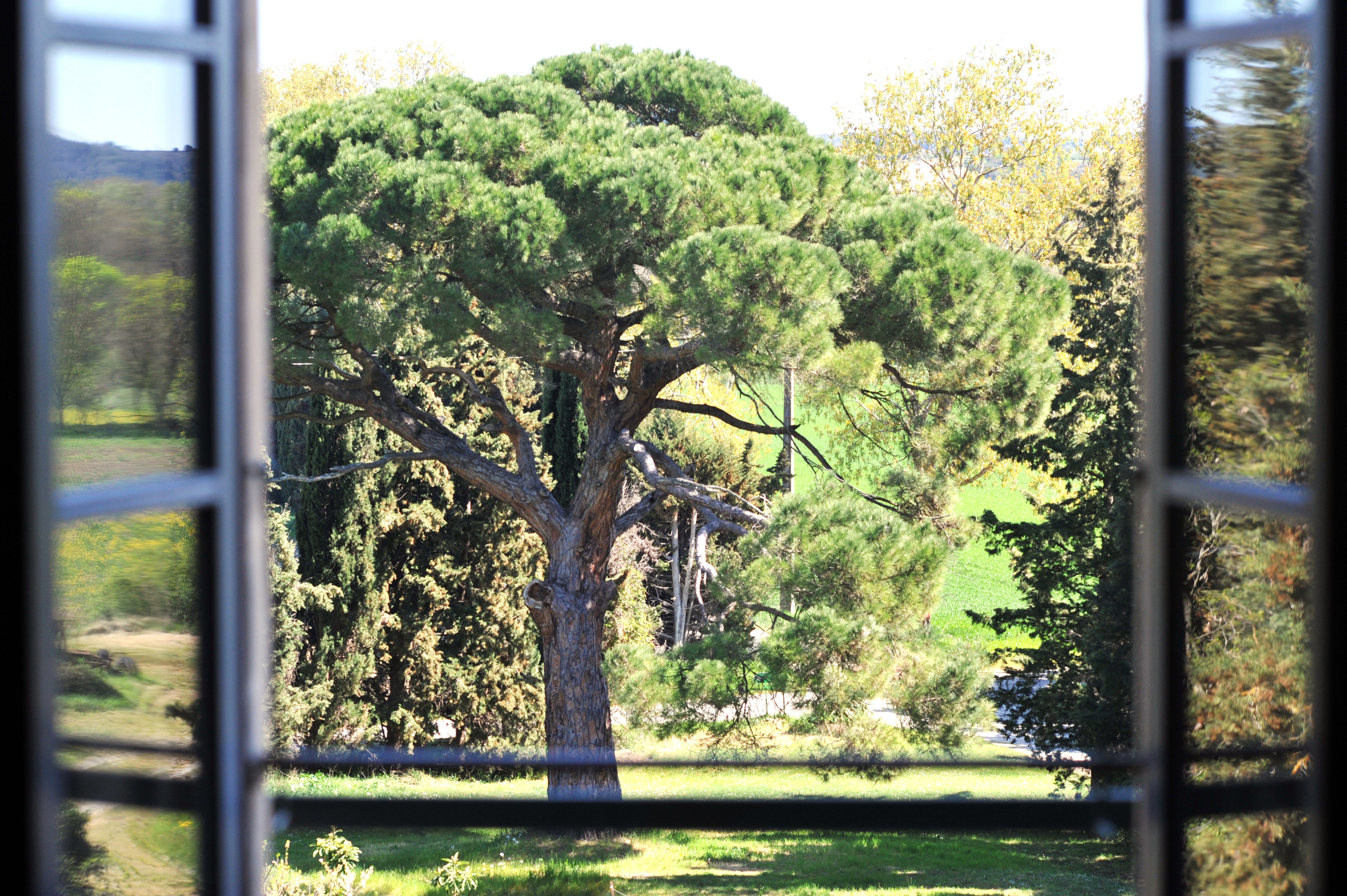 LA SALUTIERE 2025 (1)