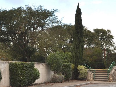 jardin public à la française