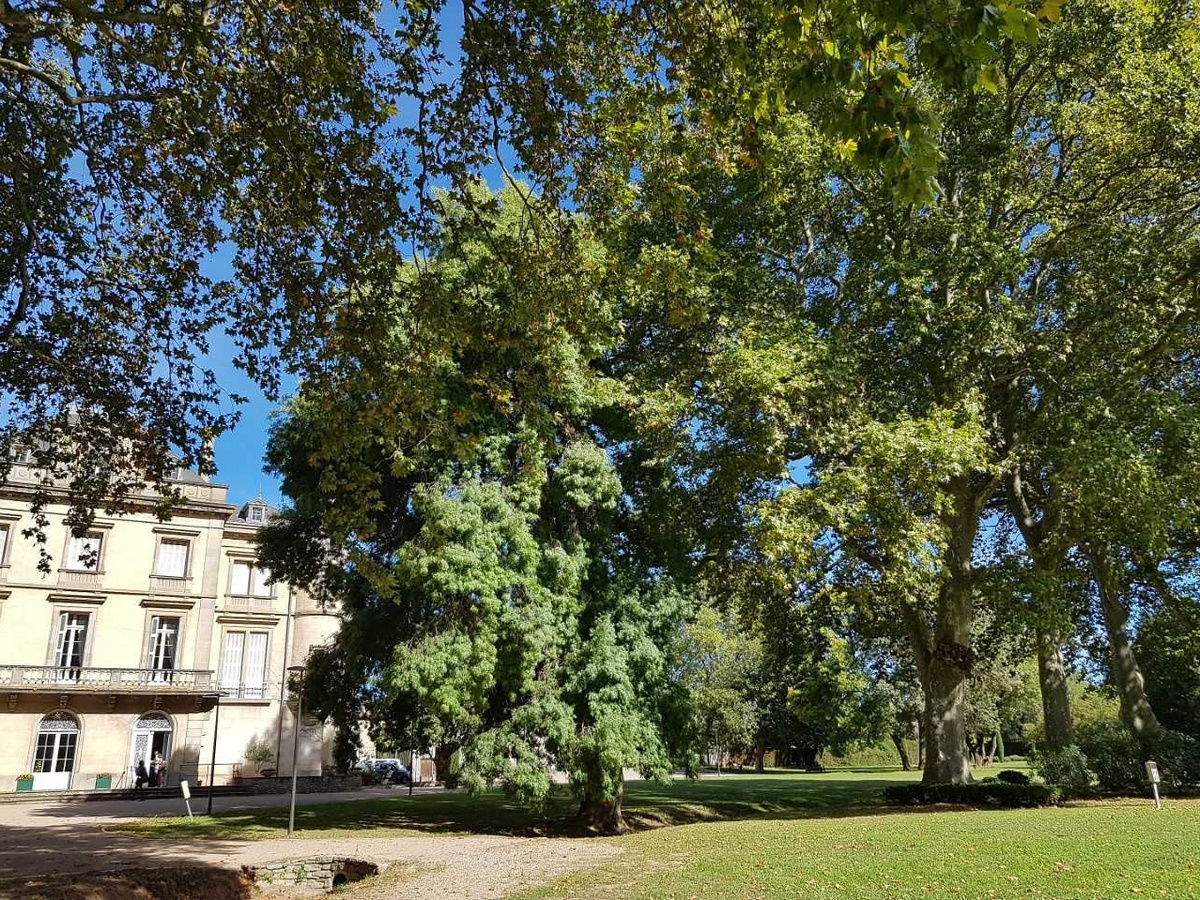 Parc Château Villegly UN