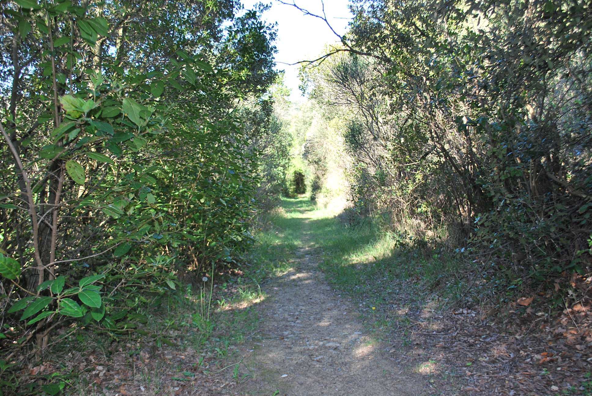 Sentier