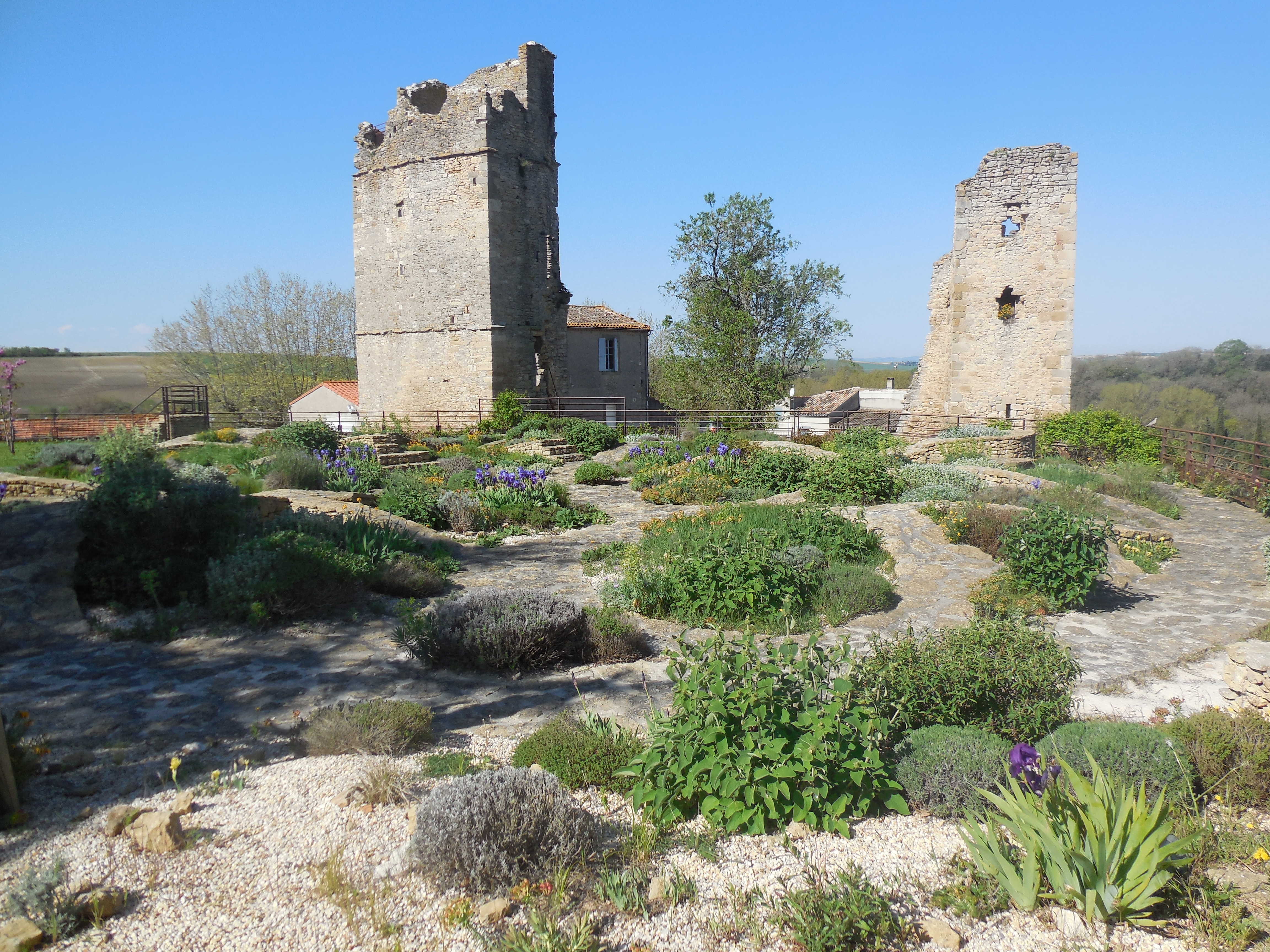 Jardin médiéval et tours